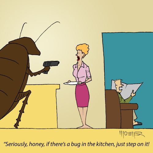 'Seriously, honey, if there's a bug in the kitchen, just step on it!'