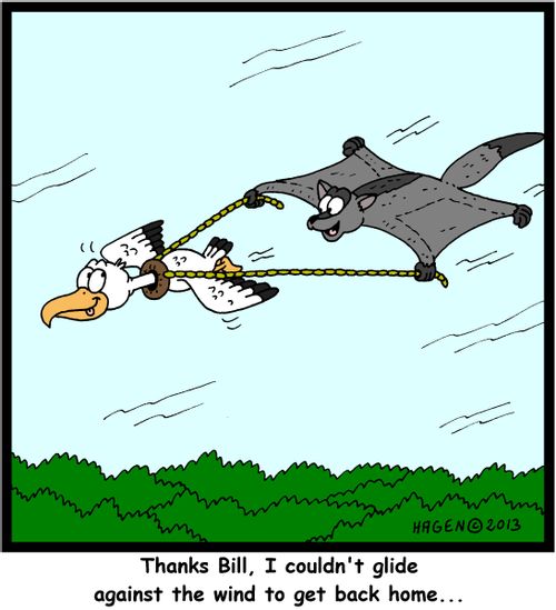 'Thanks Bill, I couldn't glide against the wind to get back home...'