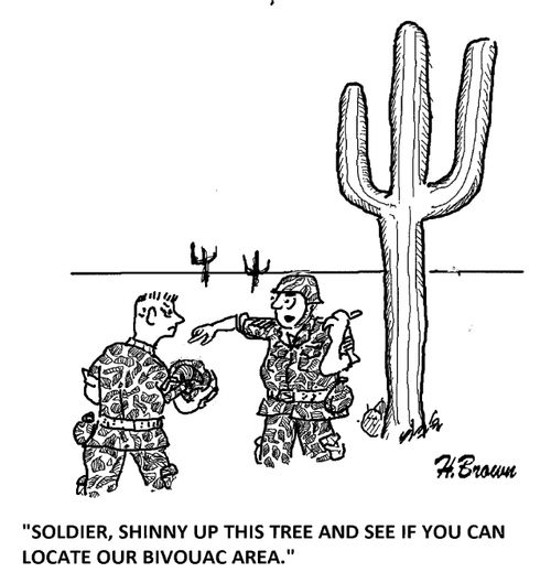 'Soldier, shinny up this tree and see if you can locate our bivouac area.'