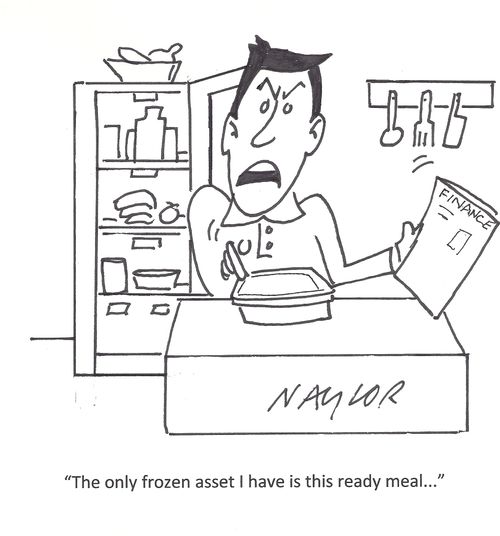 'The only frozen asset I have is this ready meal...'