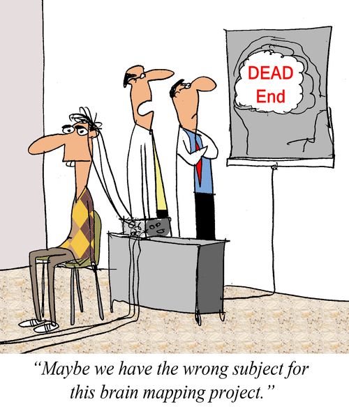 'Maybe we have the wrong subject for this brain mapping project.'