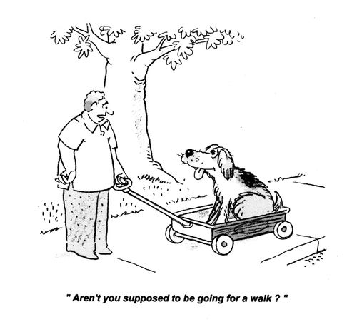 'Aren't you supposed to be going for a walk?'