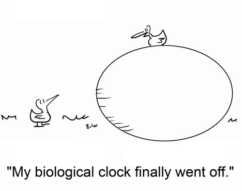 'My biological clock finally went off.'