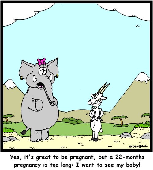 'Yes, it's great to be pregnant, but a 22-months pregnancy is too long: I want to see my baby!'