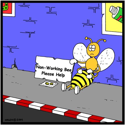 Non-Working Bee: Please Help!