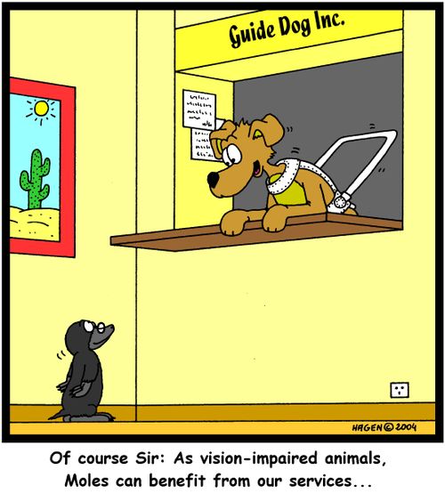 'Of course Sir: As vision-impaired animals, Moles can benefit from our services...'