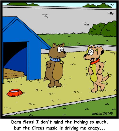 'Darn fleas! I don't mind the itching so much, but the Circus music is driving me crazy...'
