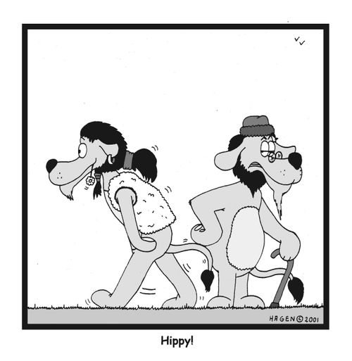 Hippy!