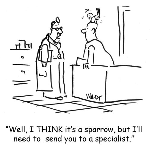 Well, I think it's a sparrow, but I'll need to send you to a specialist.