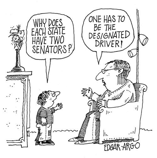 'Why does each state have two senators?'