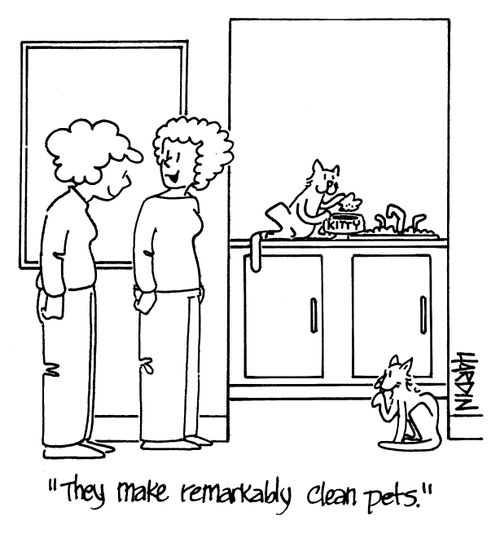 'They make remarkably clean pets.'