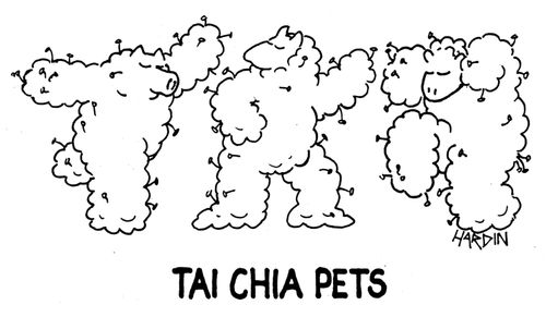 'Tai chia pets.'