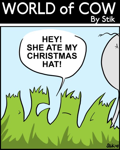 Hey, she ate my Christmas hat!
