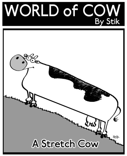 A Stretch Cow.