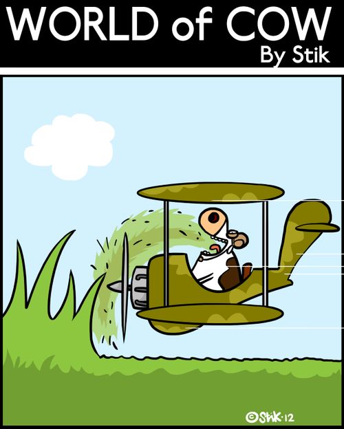 Cow Pilot.
