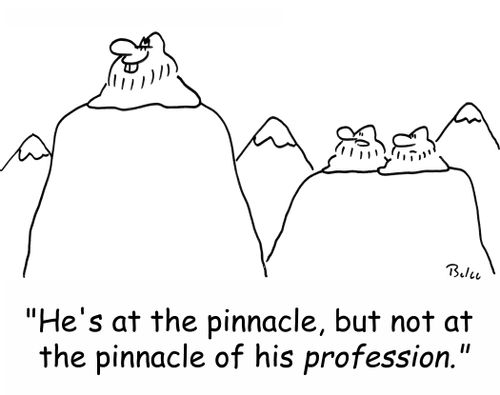'He's at the pinnacle, but not at the pinnacle of his PROFESSION.'