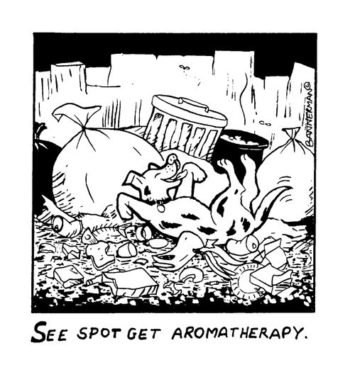Dog's Aromatherapy
