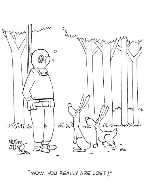 'Wow, you really are lost!'