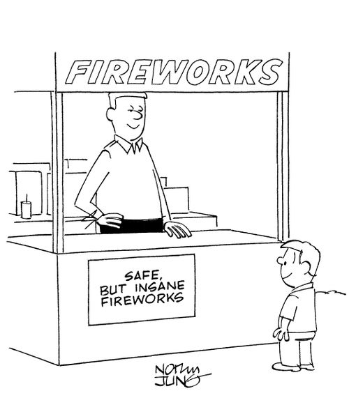 Fireworks Stand: 'Safe, but INSANE Fireworks.'