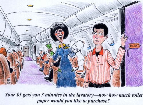 'Your $5 gets your 3 minutes in the lavatory--now how much toilet paper would you like to purchase?'
