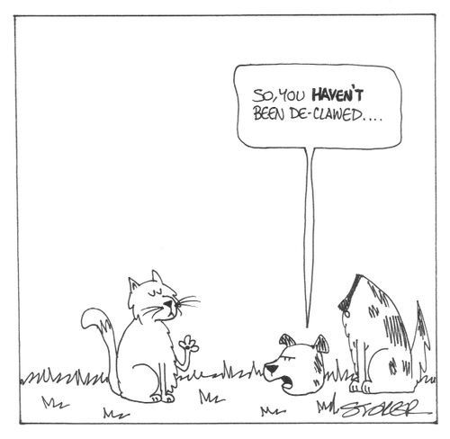 'So, you haven't been de-clawed...'