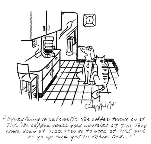 'Everything is automatic. The coffee turns on at 7:00...They go to work at 7:25 and we go up and get in their bed.'