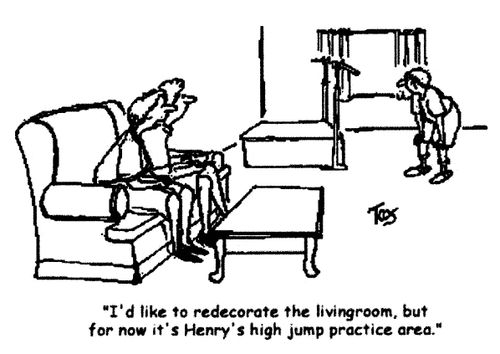 'I'd like to redecorate the livingroom, but for now it's Henry's high jump practice area.'