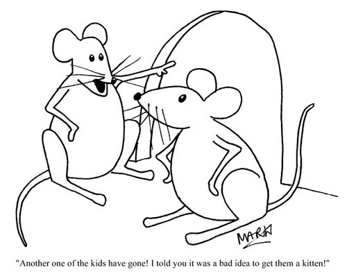 "...it was a bad idea getting them a kitten."