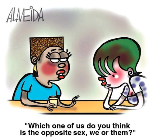 "Which one of us do you think is the opposite sex, we or them?"