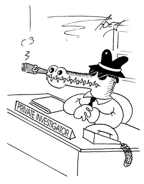 Private Investigation
