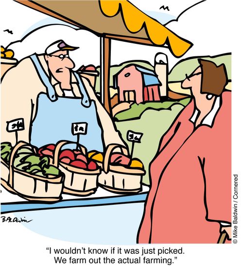 "I wouldn't know if it was just picked. We farm out the actual farming"