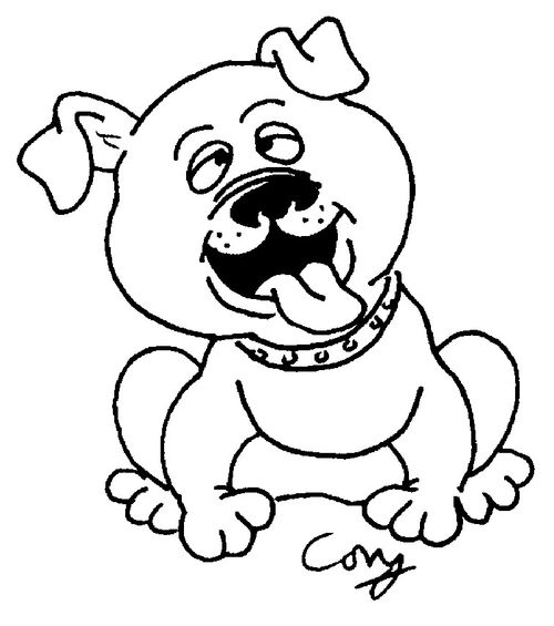 Dog