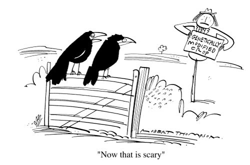 Scarecrow holding a sign 'Genetically modified crop', crow comments "Now that is scary"
