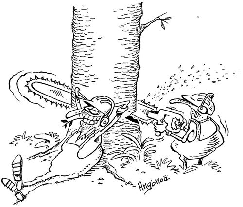 Accident waiting to happen - Man about to cut though both tree and friend.