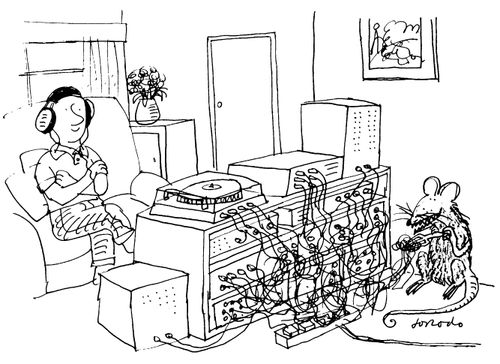 Hi Fi