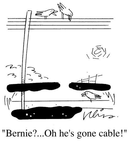 Birds on a wire, "Bernie?...Oh he's gone cable!"