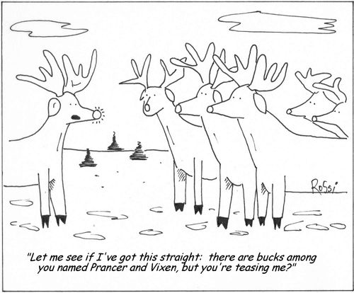 'Let me see if I've got this straight: There are bucks among you named Prancer and Vixen, but you're teasing me?'