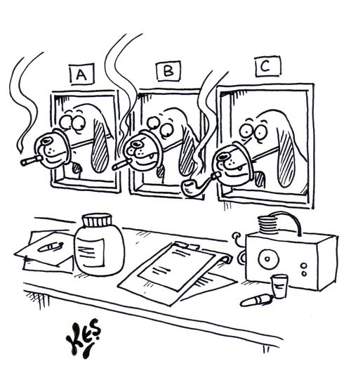 Beagles at smoking research laboratory. One of them is smoking a pipe.