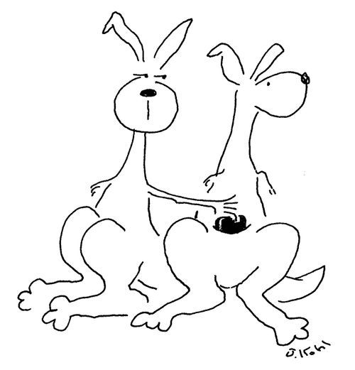 Kangaroo pickpocket.