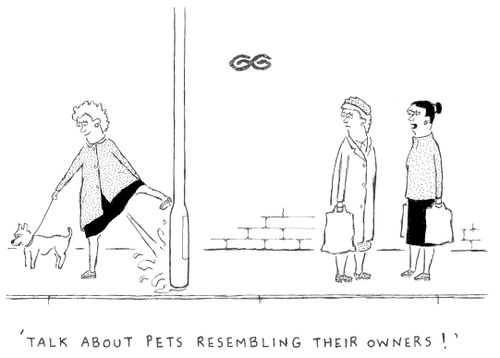 'Talk about pets resembling their owners!'