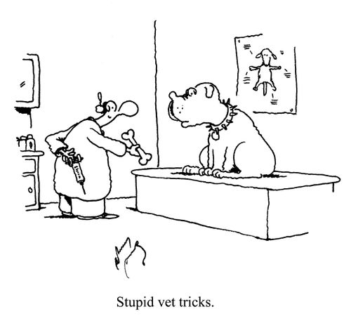 Stupid vet tricks (Vet trying to trick a dog into getting an injection by waving a bone in front of it).