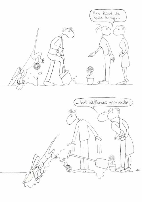 They have the same hobby...but different approaches.