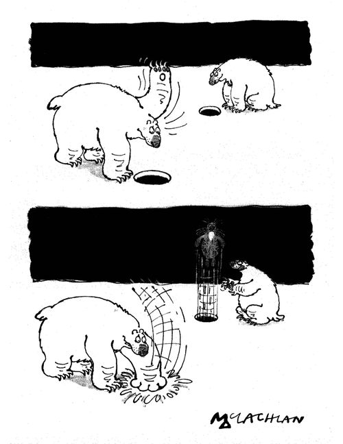 Polar bear goes hunting.