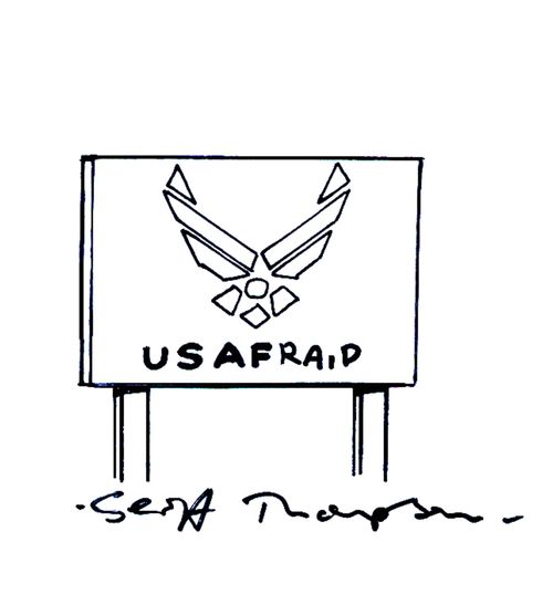 USAF(raid).