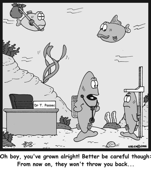 "Oh boy, you've grown alright! Better be careful though: From now on, they won't throw you back..."