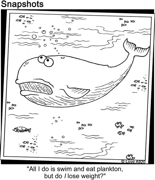"All I do is swim and eat plankton, but do I lose weight?"