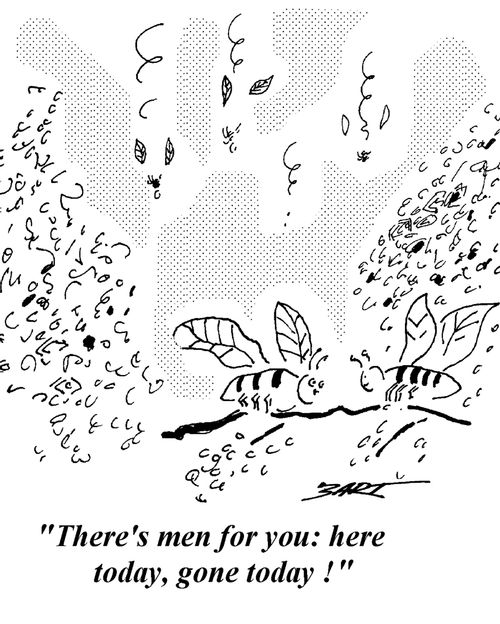 "There's men for you: here today, gone today!"
