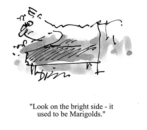 'Look on the bright side - it used to be marigolds.'