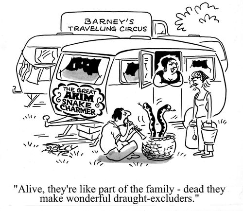 'Alive, they're like part of the family, dead they make wonderful draught excluders.'