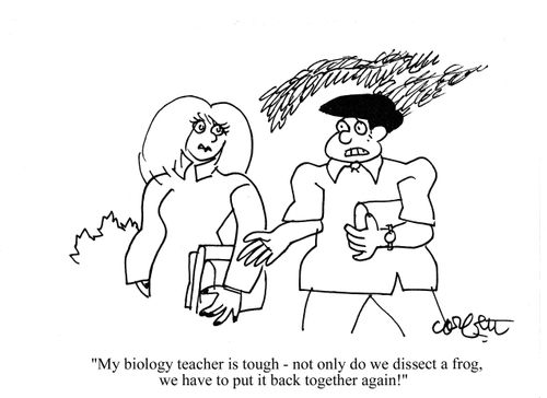 'My biology teacher is tough - not only do we dissect a frog, we have to put it back together again!'